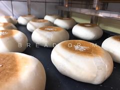 -面包与我Bread Or Me(长城汇店)
