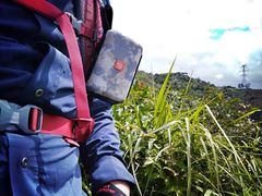 -楠溪江石桅岩
