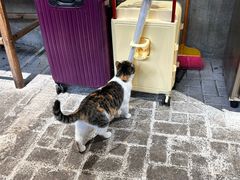 -观音桥步行街