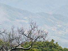-青城山