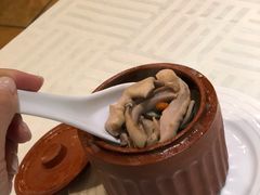 -石头咕(葵蓬店)