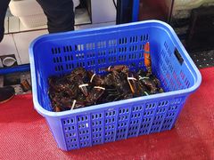 -新鸿港水果市场