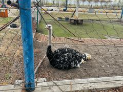 -呼兰河口湿地公园