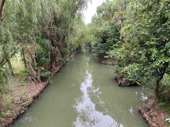 -同里国家湿地公园