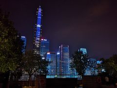 -深圳星河丽思卡尔顿酒店