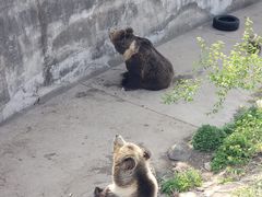 -天津市动物园