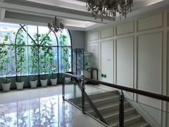 -杭州植得口腔