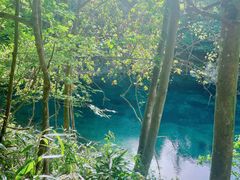 -石台牯牛降景区