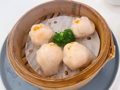 -新君悦国际酒店