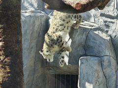 -青藏高原野生动物园