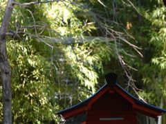-来宫神社