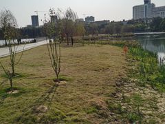 -南宁南湖公园