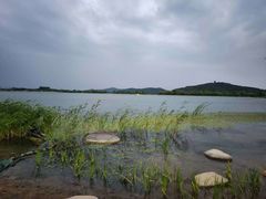 -渤公岛生态公园