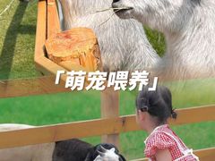 -栖露营camping·天幕烧烤·团建拓展·采摘营地