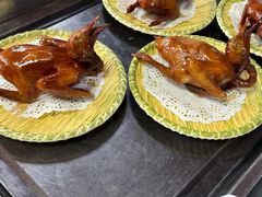 -麻奢鸽农庄·梦里水乡