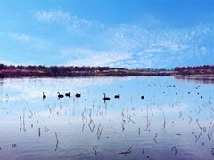 -上海海湾国家森林公园