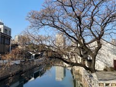 -青果巷历史文化街区