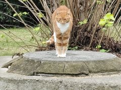 -东华大学(松江校区)