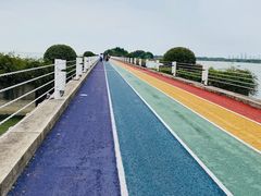 -贡湖湾湿地公园