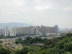 -金鸡山公园