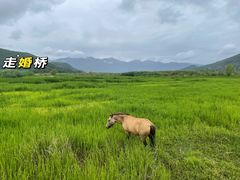 -丽江泸沽湖景区