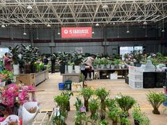 -昆明国际花卉拍卖交易中心