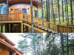 -洛阳白云山景区