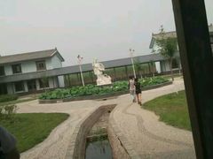 -白洋淀景区