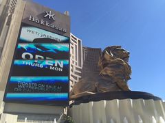 -Hakkasan Restaurant Las Vegas