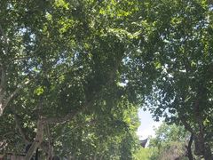 -鼓楼(西湖风景名胜区)