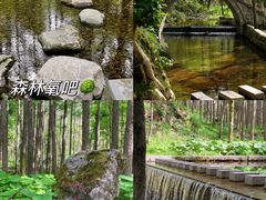 -洛阳白云山景区
