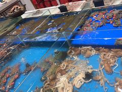 -映像威海·海鲜味道(经区店)