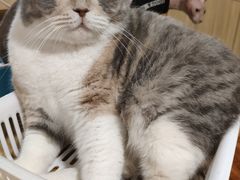 -藦茜花园宠物主题亲子互动体验馆(国顺东路店)