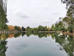 -西南交通大学(九里校区)