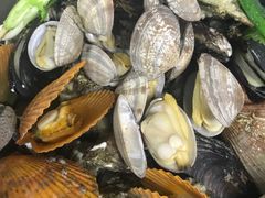 -土蚝·高压锅生蚝(百姓美食街店)