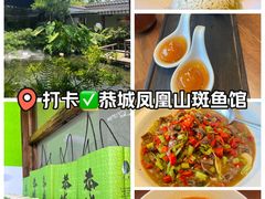 -凤凰山斑鱼馆(恭城店)