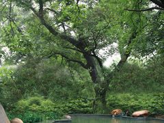 -天目湖御水温泉·度假酒店