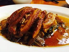 -绿光森林餐厅