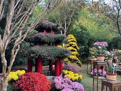 -杭州植物园