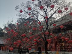 -香山公园