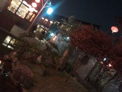 -鸿恩陶然大观园