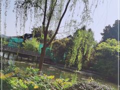 -西湖外事游船(花港观鱼码头)