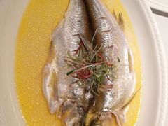 鸡汁白鱼-八分饱·西津会(西津渡店)