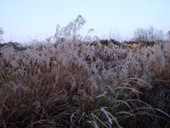 -白鹭湾湿地公园