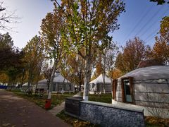 -九十九顶毡房(阜石路店)