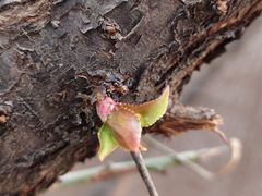 -唐城墙遗址公园