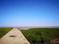 -南汇嘴观海公园