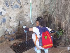 -阳台山自然风景区