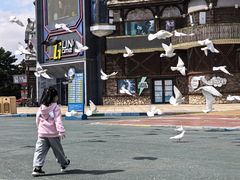 -沈阳方特欢乐世界