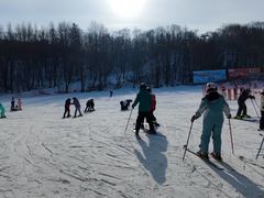-亚布力新体委滑雪场